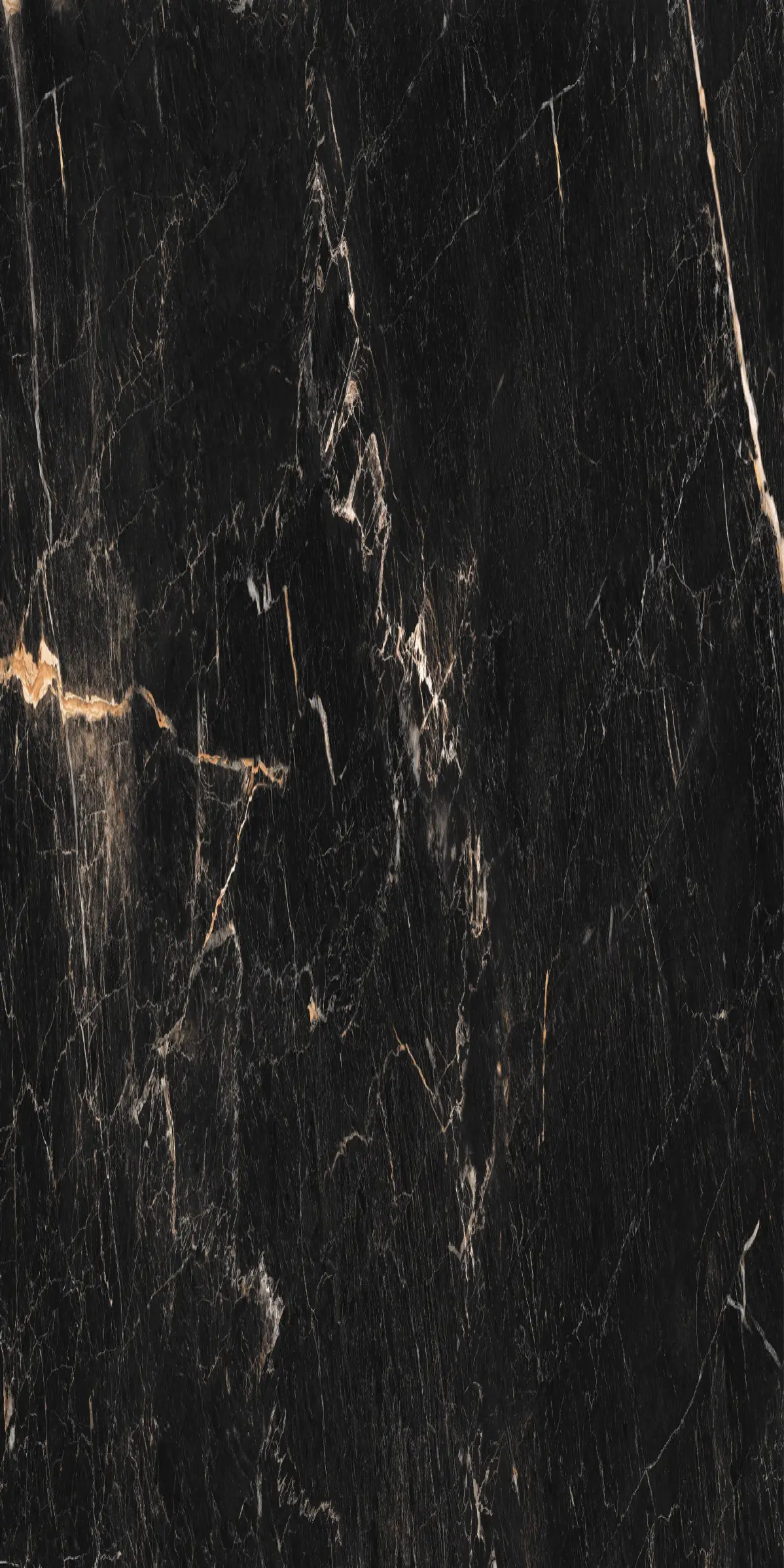 Imagen del detalle