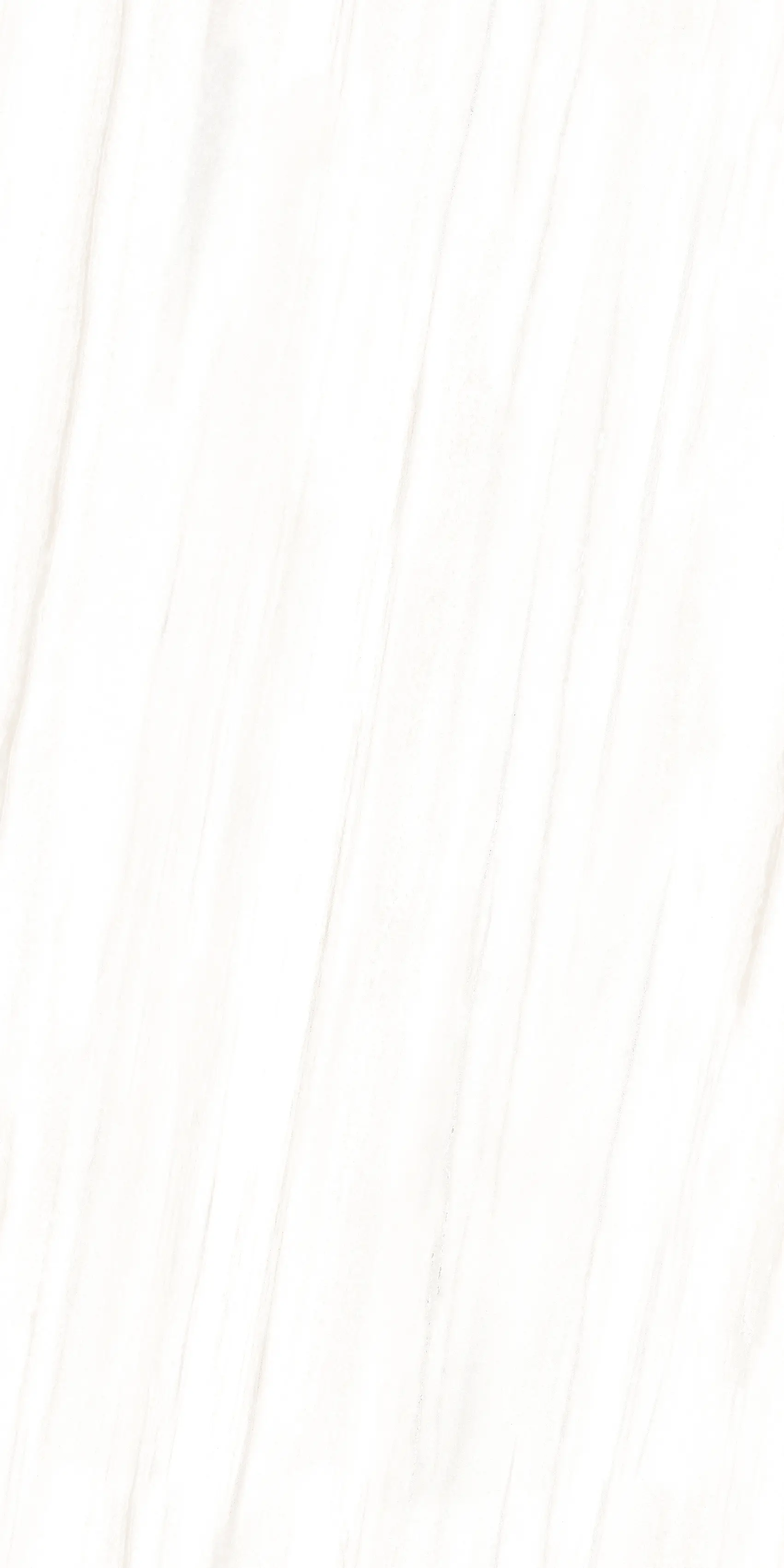Imagen del detalle