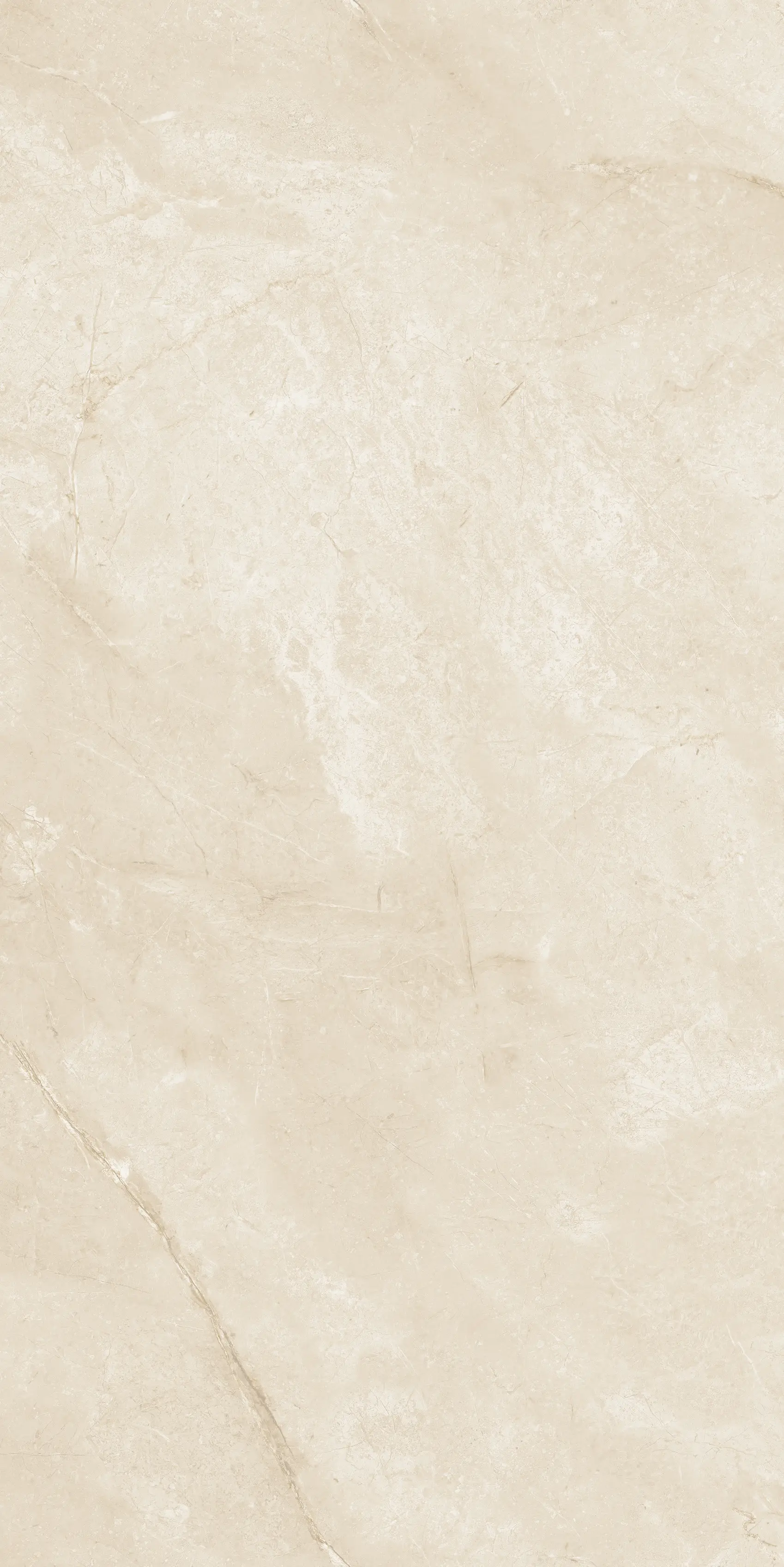 Imagen del detalle