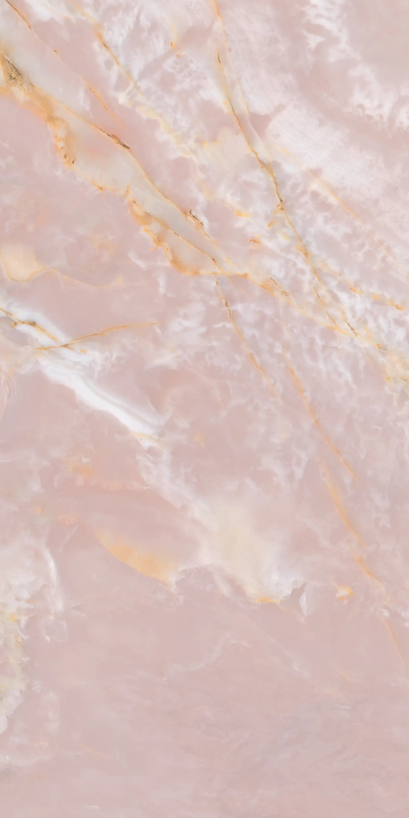 Imagen del detalle