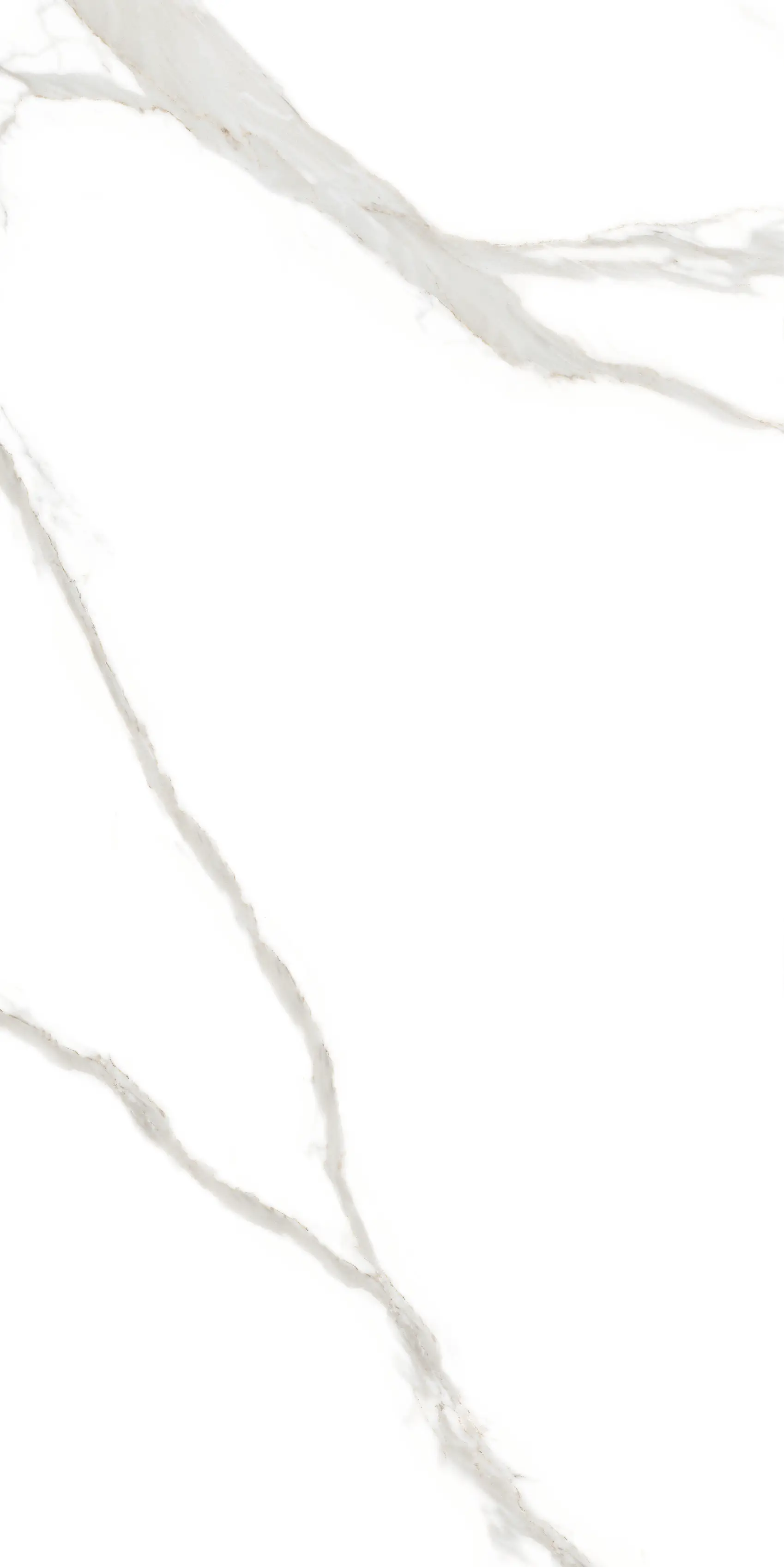 Imagen del detalle